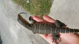 20160317_131156.jpg