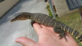 20160317_131213.jpg