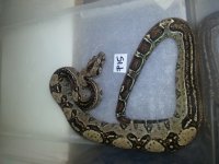 20160428_212906.jpg