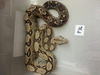 20160428_213130.jpg