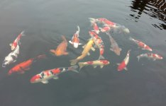 IMG_20160317_152842.jpg