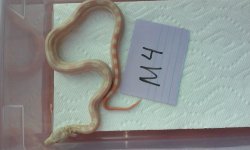 20160524_190644.jpg