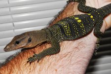 DSC_1127.jpg
