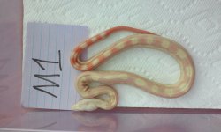 20160524_185631.jpg
