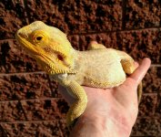VZM.IMG_20160608_202457.jpg