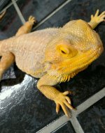 VZM.IMG_20160608_202348.jpg