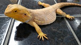 VZM.IMG_20160608_202314.jpg