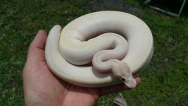 20160702_131445.jpg