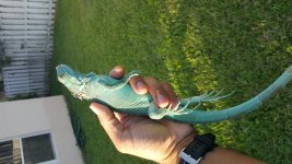 20160705_191053.jpg