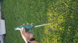 20160705_191142.jpg