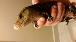 20160420_224051.jpg