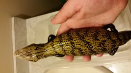 20160420_223952.jpg