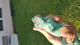 20160705_191127.jpg