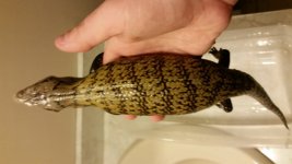 20160420_224230.jpg