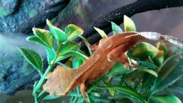 20160403_132817.jpg