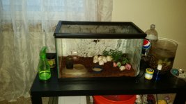 20160429_062240.jpg