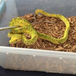 IMG_8910[1].jpg