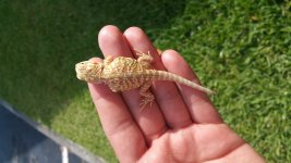 20160428_100257.jpg