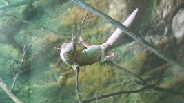 20150308_181657.jpg