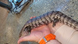 20160705_190405.jpg