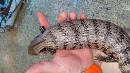 20160705_190356.jpg