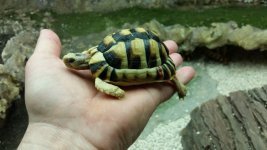 20160317_193948.jpg