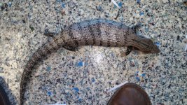20160705_190429.jpg