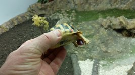 20160317_194325.jpg