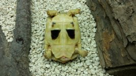 20160317_200258.jpg