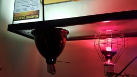 20160303_124609.jpg