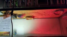 20160303_124547.jpg