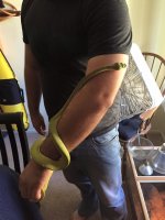 GTP$300.jpg