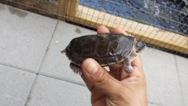 20160414_175946.jpg
