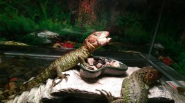 20160303_153514.jpg