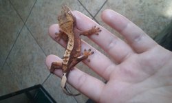 20160415_135117.jpg