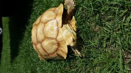 20160608_151852.jpg