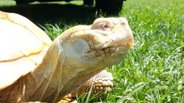 20160608_151919.jpg