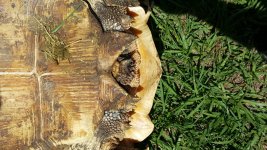 20160608_152017.jpg