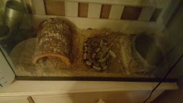 20160302_233329.jpg