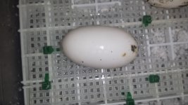 20160125_150538.jpg