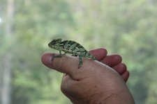 IMG_5731.jpg