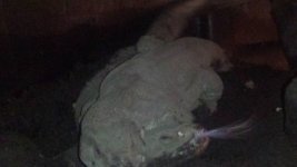 20151227_134732.jpg