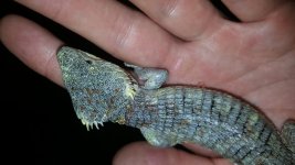 20160519_213409.jpg