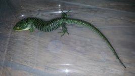 20160601_145415.jpg