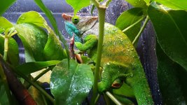 20160319_155457.jpg