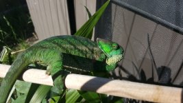 20160517_093926.jpg