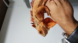 20160318_153230.jpg