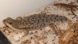 20160407_191441.jpg