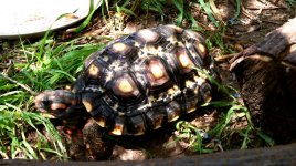 2016-06-05 12.28.46.jpg