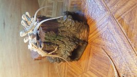 20160526_115243.jpg